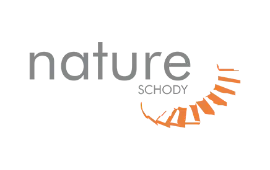 nature schody